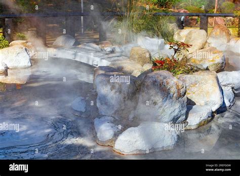 Beppu Japan Nov Oniishibozu Jigoku Hot Spring In Beppu