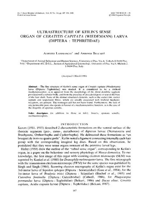 PDF Ultrastructure Of Keilin S Sense Organ Of Ceratitis Capitata