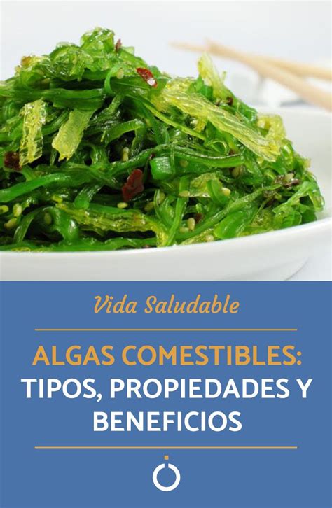 Algas Comestibles Tipos Propiedades Y Beneficios Algas Comestibles