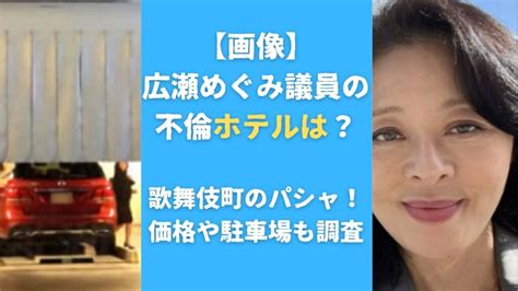 【画像】広瀬めぐみ議員の不倫ホテルは？歌舞伎町のパシャ！価格や駐車場も調査 年間50本以上ドラマ視聴する主婦による、若手俳優の出身高校＆トレンド情報発信ブログ