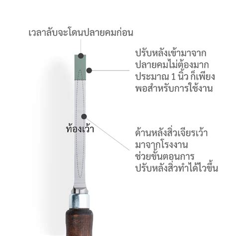 Narex Profi Mortise Chisel