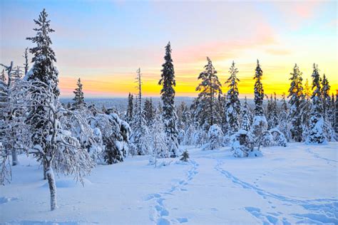 Cheap flights to Rovaniemi | BudgetAir® Australia