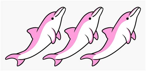 Pink Dolphins Clip Art Library