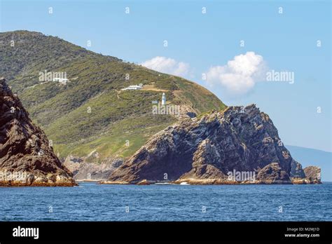 Maatsuyker Island Tasmania Hi Res Stock Photography And Images Alamy