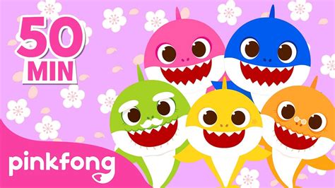 B B Requin Et Chansons Pour Petits Comptines Pinkfong En Fran Ais