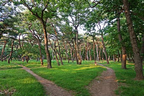 서악북부권 권역별 관광지 경주 여행 경주문화관광