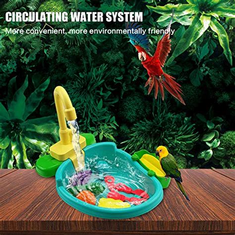 Baignoire Automatique Pour Perroquet Perruche Calopsitte Conure