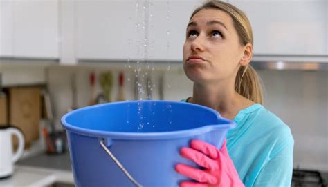 Water Leaks In Your Home What You Need To Know