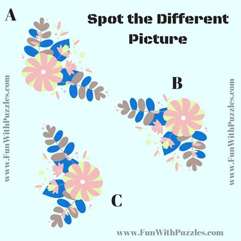 Find The Odd One Out Picture Puzzle With Answer