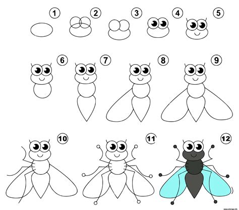 Coloriage Dessin Facile Une Mouche Dessin Dessin Facile Imprimer