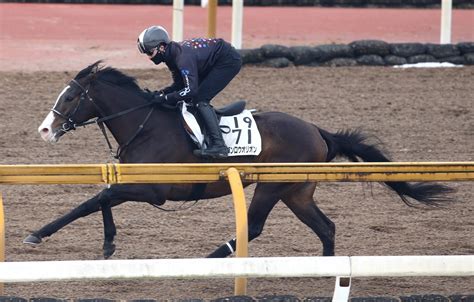 【東京新聞杯】マテンロウオリオンを「もう一度、信用してみませんか」というお誘い 競馬専門紙「優馬」