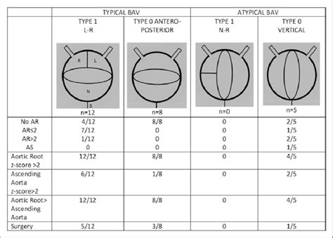 Aortic Valve Morphology Aortic Phenotype And Aortic Valve Dysfunction