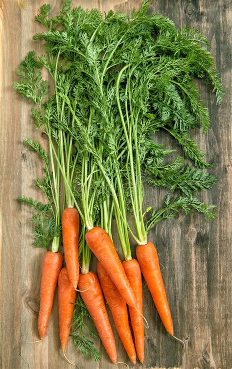 Carrot Roots Over Rustic Wooden Background Stock Image Image Of Herb