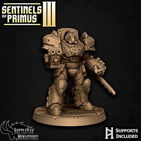 3D Printable Sentinel-Paladin Ranged Warrior C by Battle Yak Miniatures