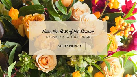 Fresh Same Day Flower Delivery Richmond – Beautiful Flower Arrangements ...