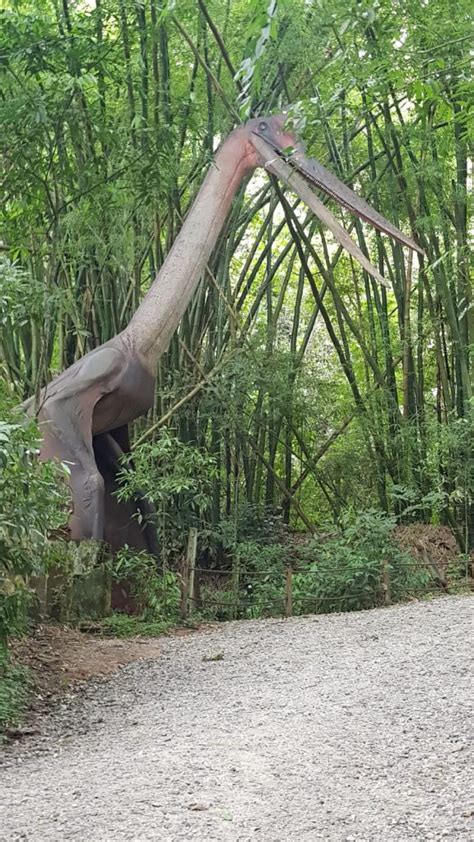 Miguel Pereira Na Regi O Serrana Do Rio De Janeiro A Terra Do