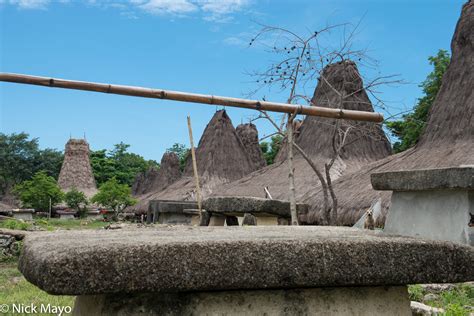 Grave And Peaked Roof Village West Sumba Regency Sumba Indonesia