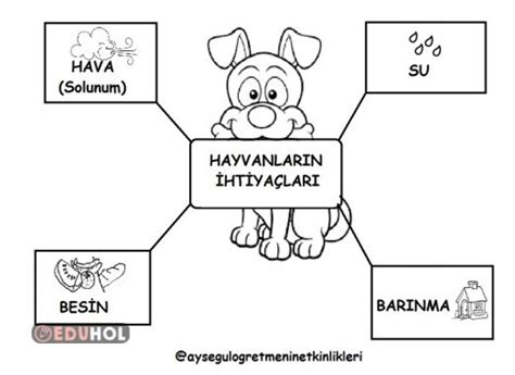 Hayvanların İhtiyaçları Defter Eduhol Etkinlik İndir Oyun Oyna