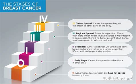 了解乳腺癌（美国科普） 知乎