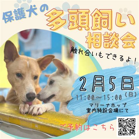 【ピースワンコのイベント】25日「保護犬の多頭飼い相談会」（広島譲渡センター） ピースワンコ・ジャパン