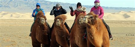 Mongolia Gobi Desert Facts | The Gobi Desert | Mongolian Desert