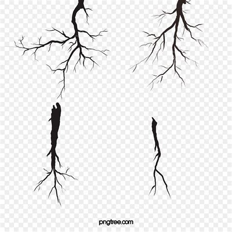 Root White Transparent Root Root Clipart Tree Roots Png Image For