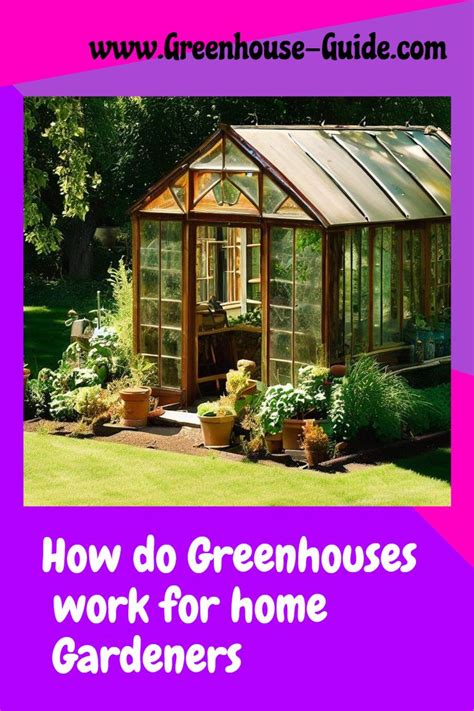 How Greenhouses Maximize Gardening Success