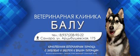 БАЛУ | Ветеринарная клиника «Балу» - это высококвалифицированные ...