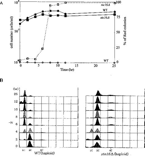 Figure From The Ste Wd Repeat Protein Regulates Cell Cycle