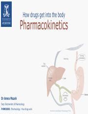 Understanding Pharmacokinetics How Drugs Move And Impact The Course Hero