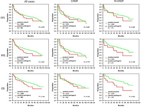 Survival Of Dlbcl Patients Related To The Predicted Effect Of Socs1