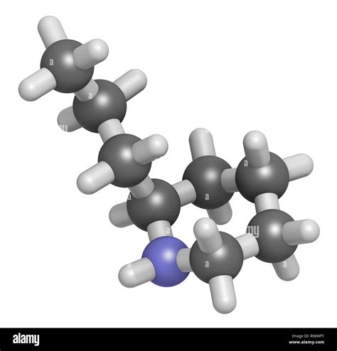 Coniine Herbal Toxin Molecule Present In Poison Hemlock Conium