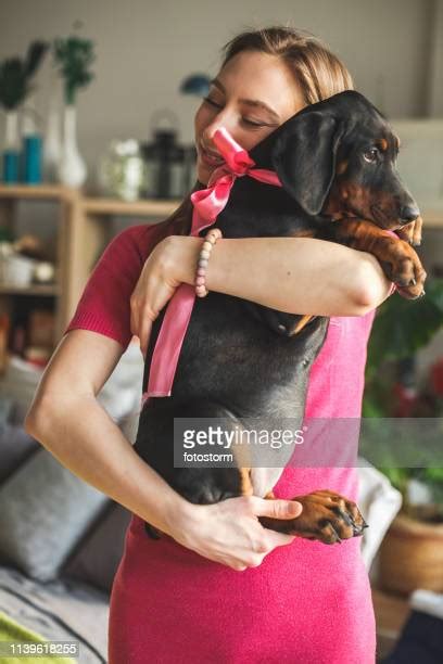 336 Dog Knotted In Woman Stock Photos High Res Pictures And Images