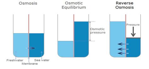 Open Access Scope And Limitations Of The Irreversible Thermodynamics