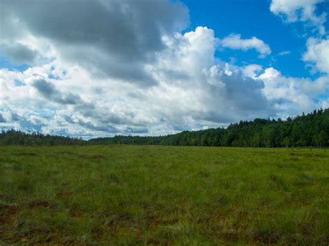 Free Images Image Sky Grassland Natural Landscape Cloud Natural