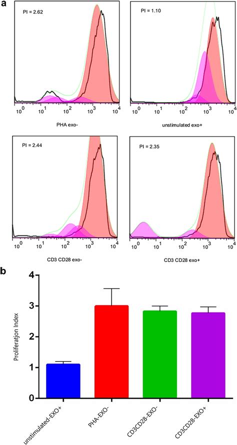 Investigating The Effect Of Msc Exo On The Proliferation Of Splenocytes