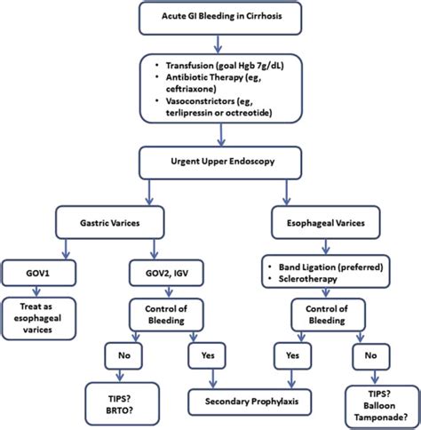 Gastrointestinal Issues In Liver Disease Critical Care Clinics