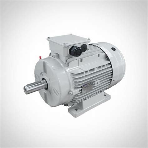 Ac Motor Wsr Series Fuzhou Wonder Electric Co Ltd Synchronous