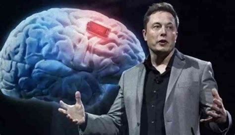 Elon Musk S Neuralink Receives Fda Approval For Human Tests Aiming To