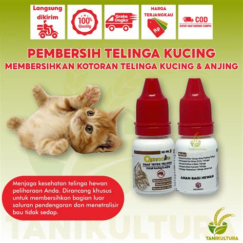 Jual Obat Tetes Telinga Kucing Pembersih Telinga Mengatasi Infeksi