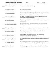 Systemsbodymatching Pdf Systems Of The Body Matching Name Date Period