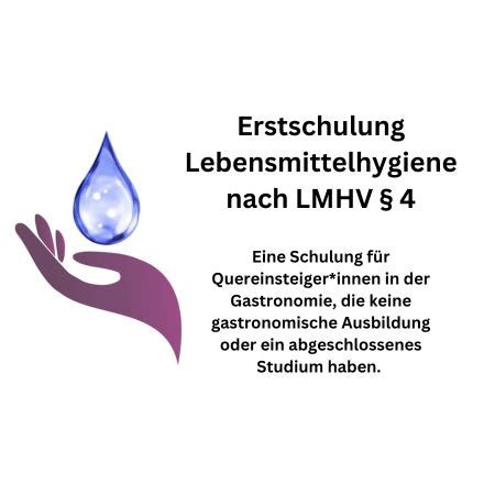 Schulung Nach LMHV 4 Lebensmittelhygiene Erstschulung Online