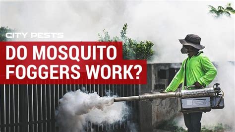 Do Mosquito Foggers Work And How Effective Are They Fogging Tips