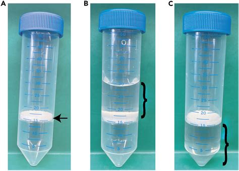 Cell Press STAR Protocols