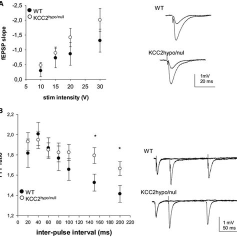 Basic Properties Of Field Excitatory Postsynaptic Potentials Fepsps