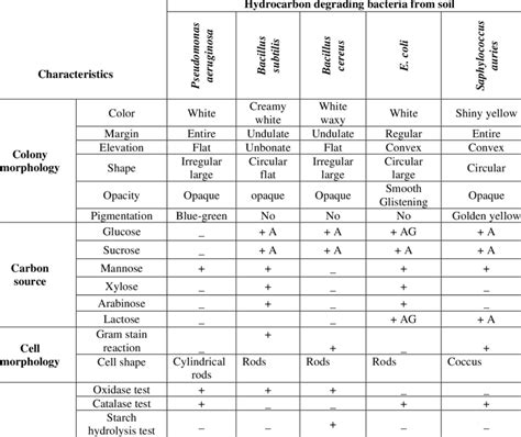 Microbiology Biochemical Test Chart