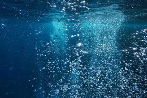 Air Bubbles Underwater And Sky Over Under Water Stock Image Image Of