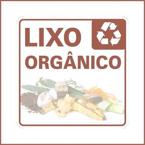 Lixo Organico E Reciclavel Edulearn