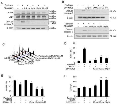 Role Of Jnk Activation In Paclitaxel‑induced Apoptosis In Human Head And Neck Squamous Cell