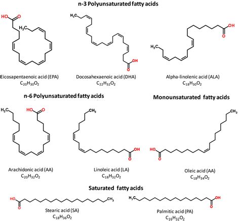 Frontiers Effects Of N Polyunsaturated Fatty Acids On Cardiac Ion